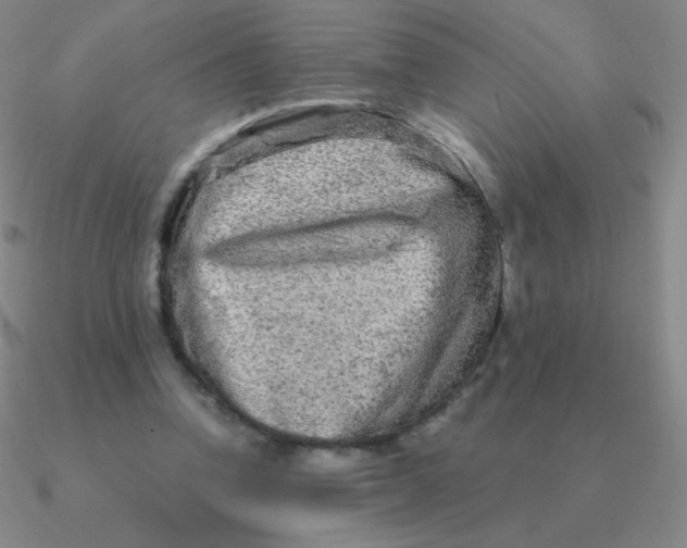 X0000090620346200708071229