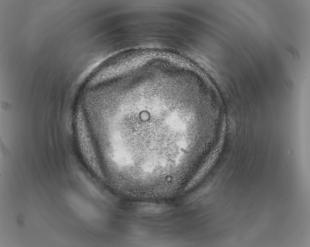 X0000090620347200708071229