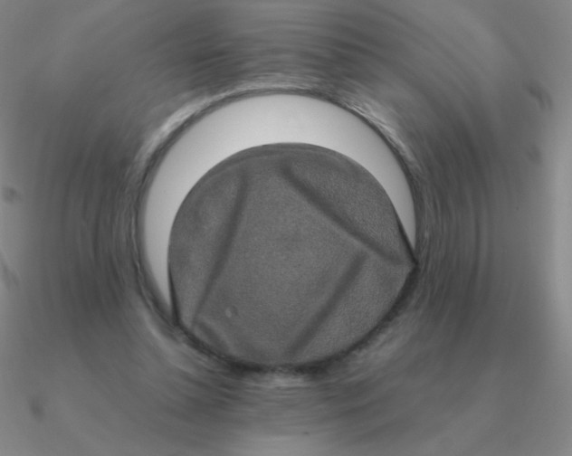 X0000090620348200708071229