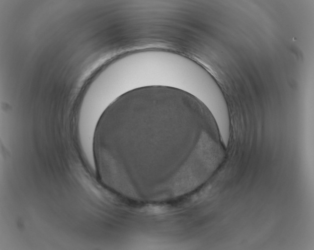 X0000090620350200708071229