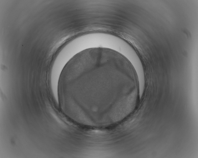 X0000090620352200708071229