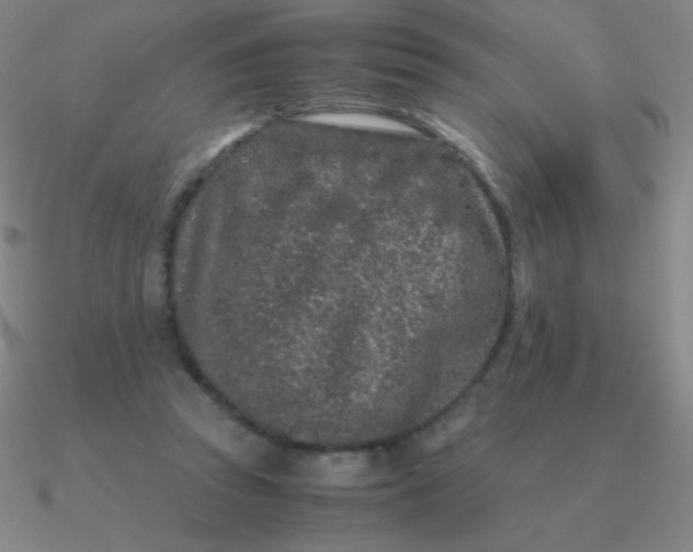 X0000090620353200708071229