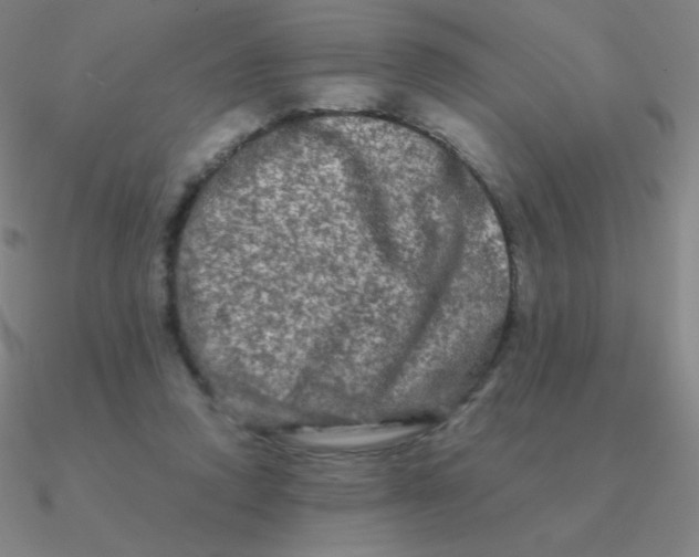 X0000090620354200708071229