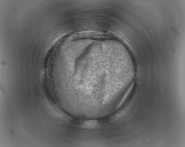 X0000090620355200708071229