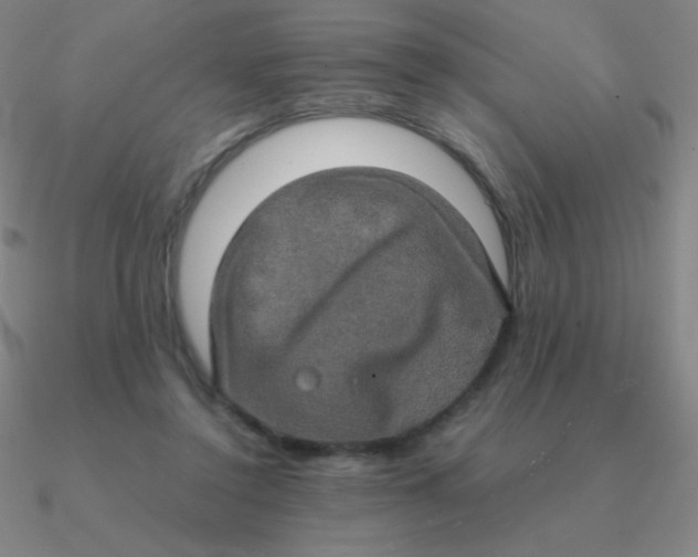 X0000090620356200708071229