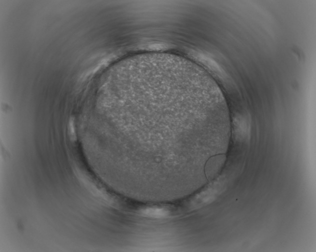 X0000090620358200708071229