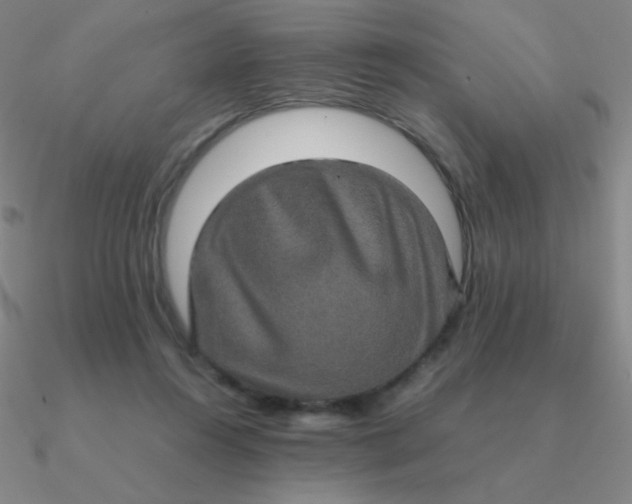 X0000090620360200708071229