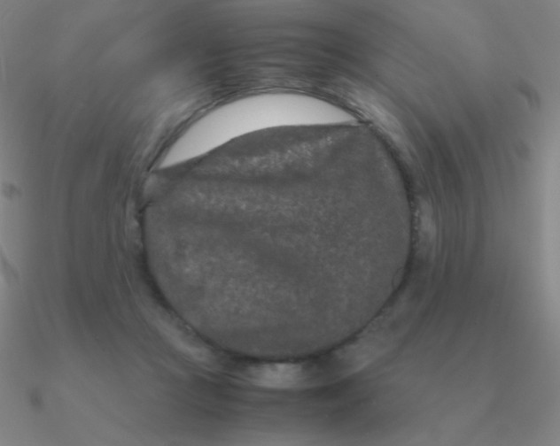 X0000090620361200708071229