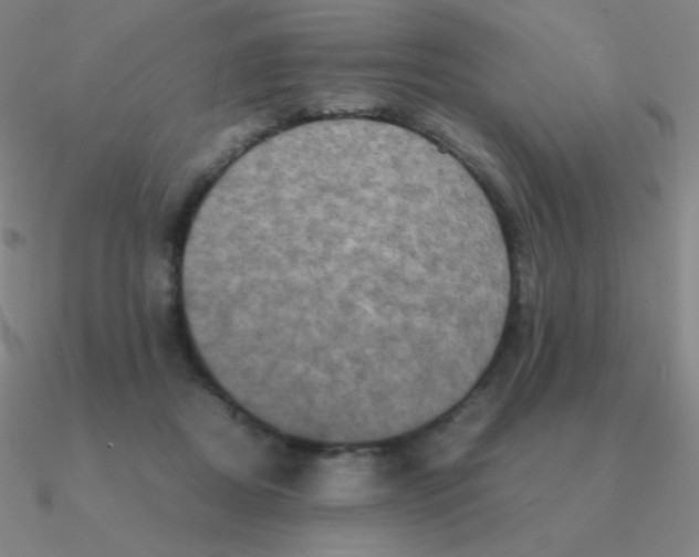 X0000090620362200708071229