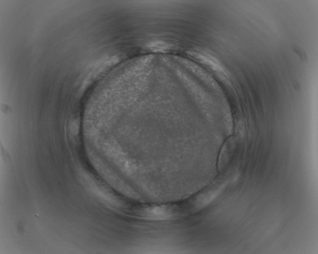 X0000090620365200708071229