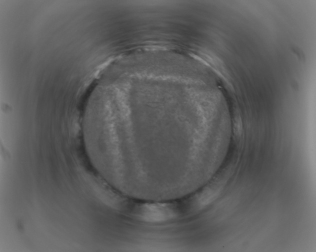 X0000090620367200708071230