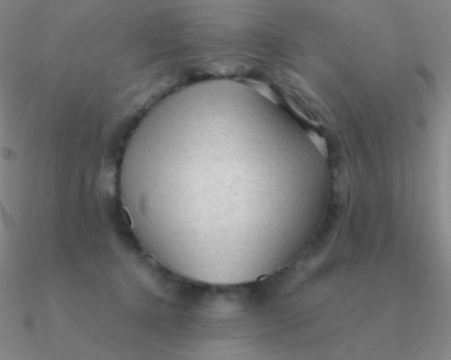 X0000090620368200708071230