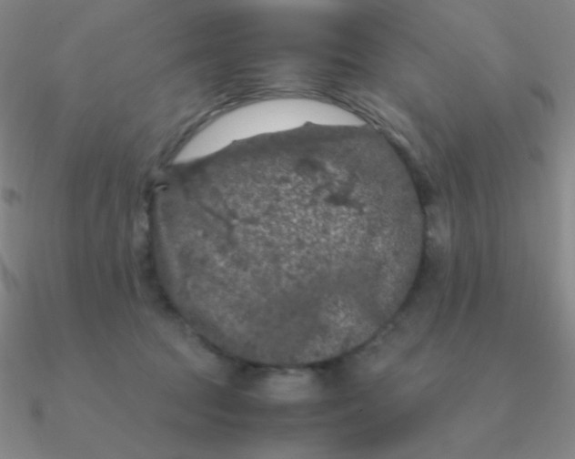 X0000090620369200708071230