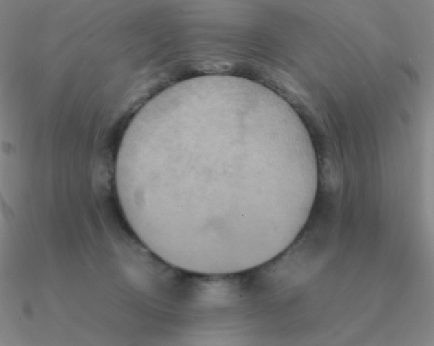 X0000090620370200708071230