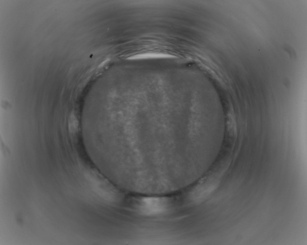 X0000090620371200708071230