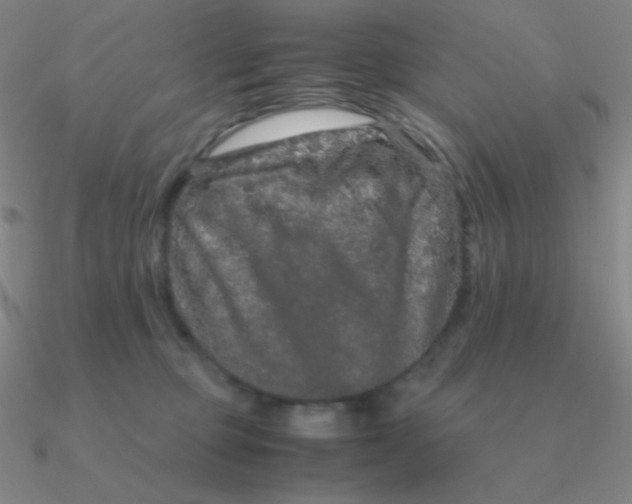 X0000090620373200708071230