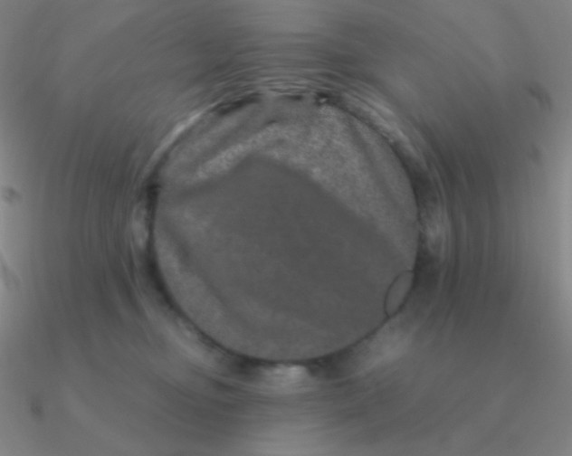 X0000090620374200708071230