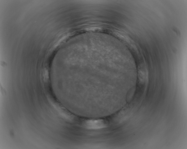 X0000090620375200708071230