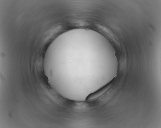 X0000090620376200708071230