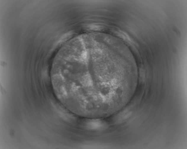 X0000090620377200708071230