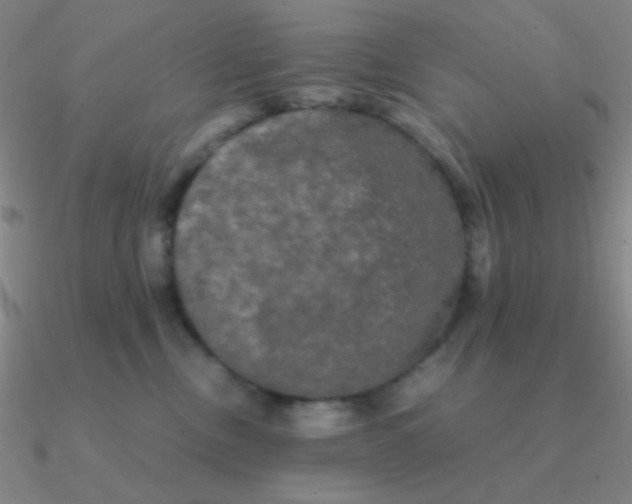 X0000090620378200708071230