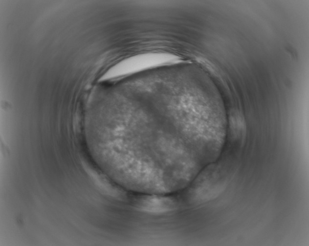 X0000090620379200708071230