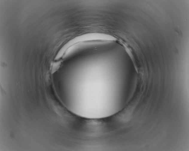 X0000090620380200708071230