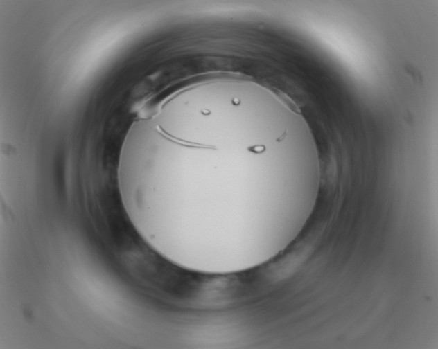 X0000090620382200708071230