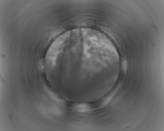 X0000090620383200708071230