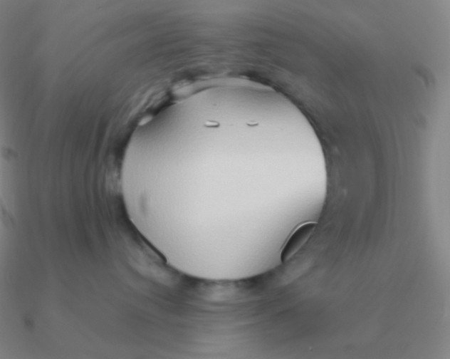 X0000090620384200708071230