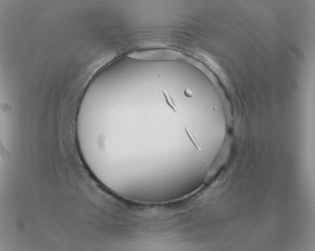 X0000090620385200708071229