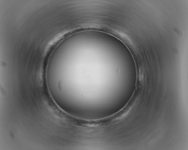 X0000090620388200708071229