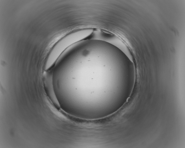 X0000090620389200708071229