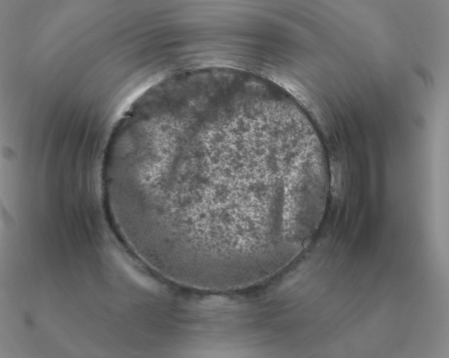 X0000090620390200708071229