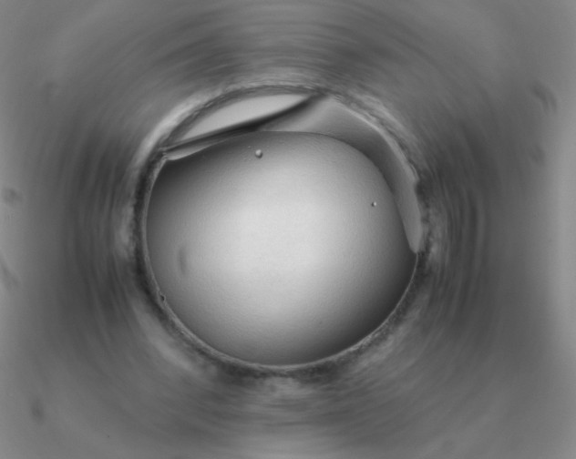 X0000090620392200708071229