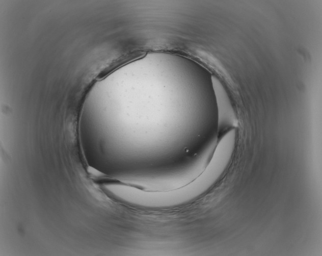 X0000090620393200708071229