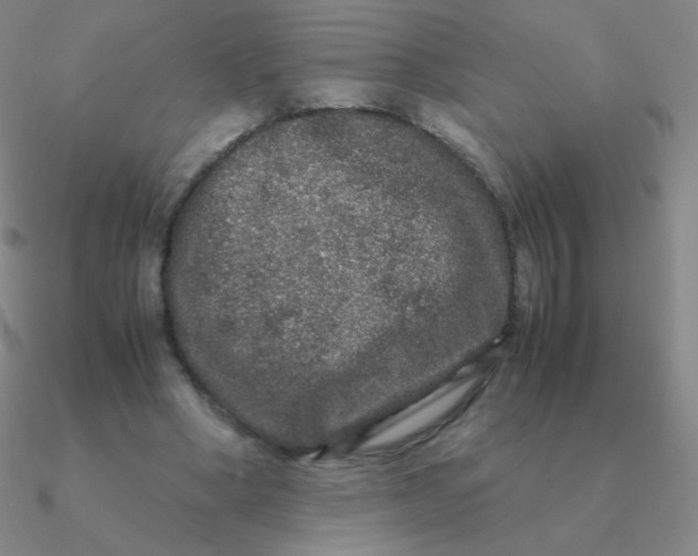 X0000090620394200708071229