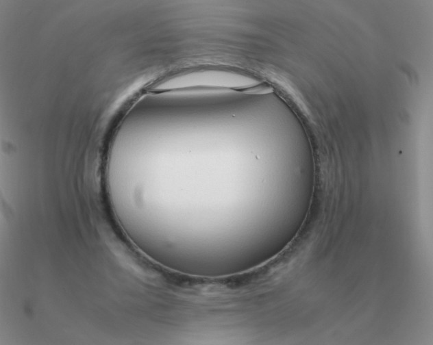 X0000090620395200708071229