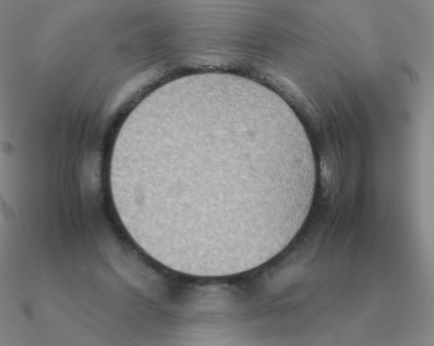 X0000090620396200708071229