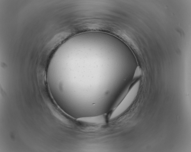 X0000090620397200708071229