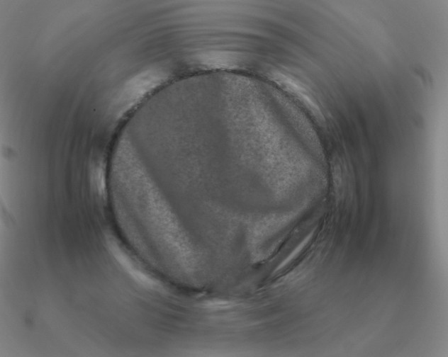 X0000090620398200708071229