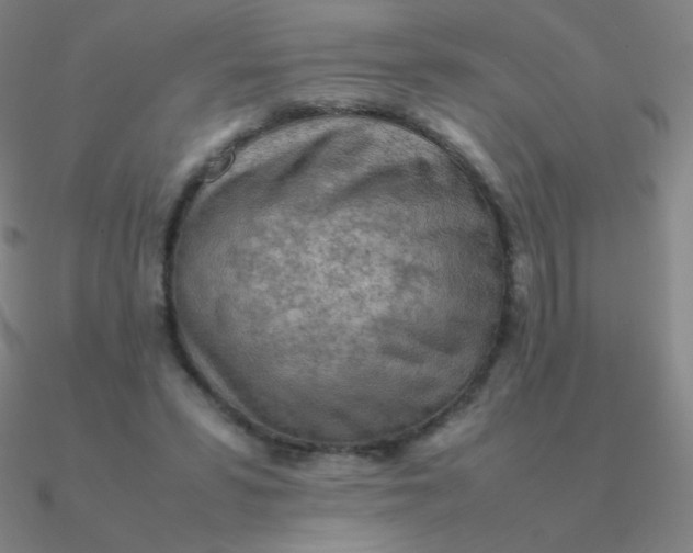 X0000090620399200708071229