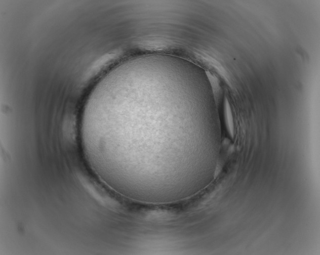 X0000090620400200708071229