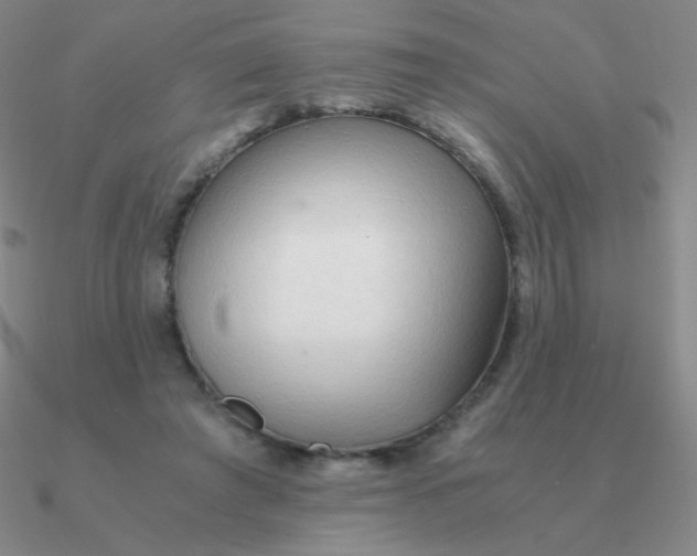 X0000090620401200708071229