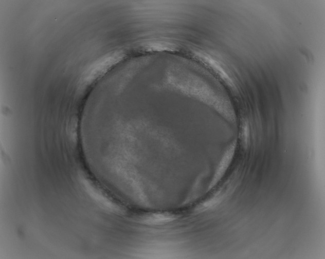 X0000090620402200708071229