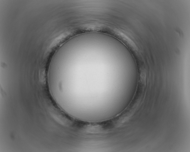 X0000090620403200708071229