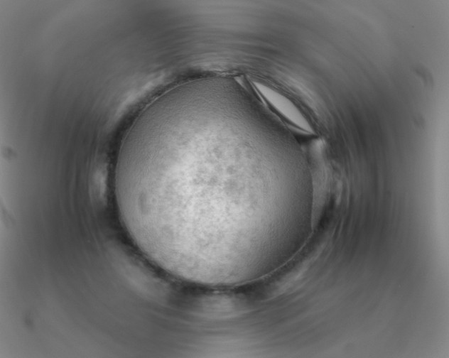 X0000090620404200708071229