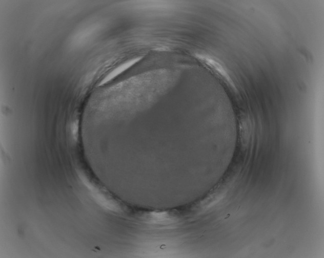 X0000090620406200708071229