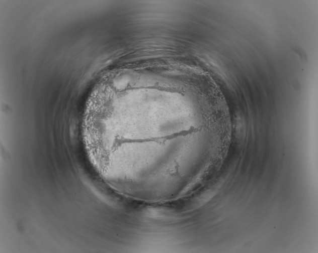 X0000090620408200708071229