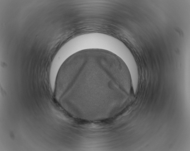 X0000090620412200708071229